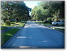 Tree-lined Street