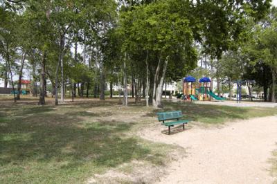 Wide View Of Park